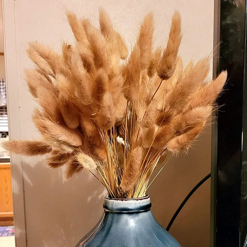 

100 шт., сушеные цветы в виде хвоста кролика