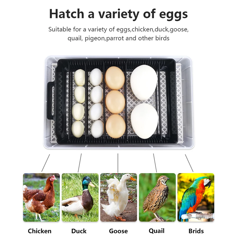 Инкубатор для цыплят гусиных перепелов 15 яиц |