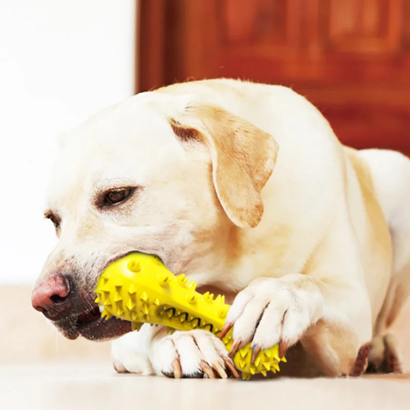 

Зубная щетка Gnawing для собак, молярная палочка, игрушка для собак