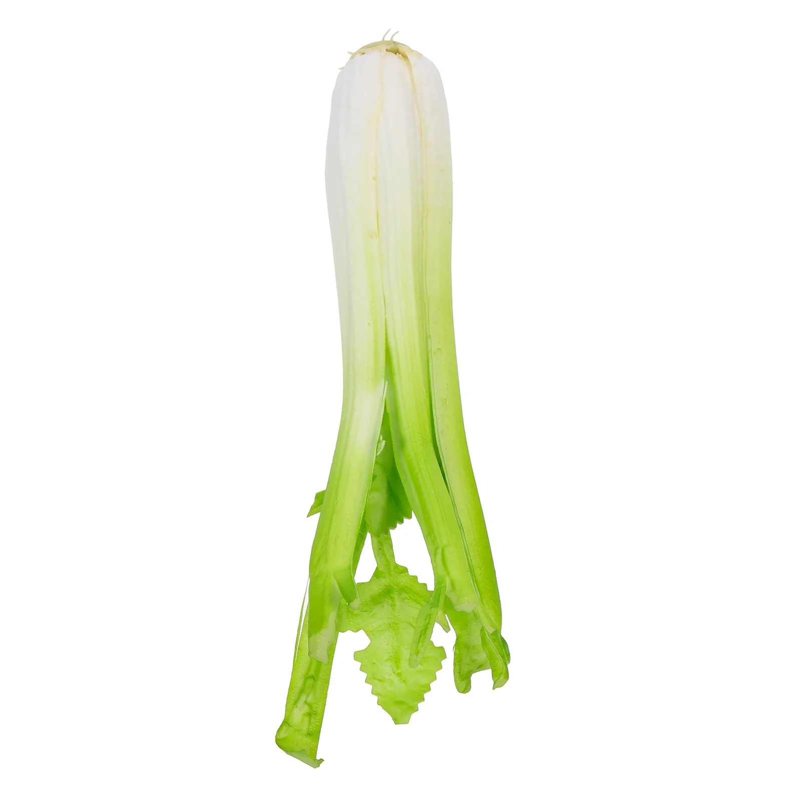 

Food Simulated Celery Green Decorations Decorative Faux Vegetable Restaurant Photo Prop