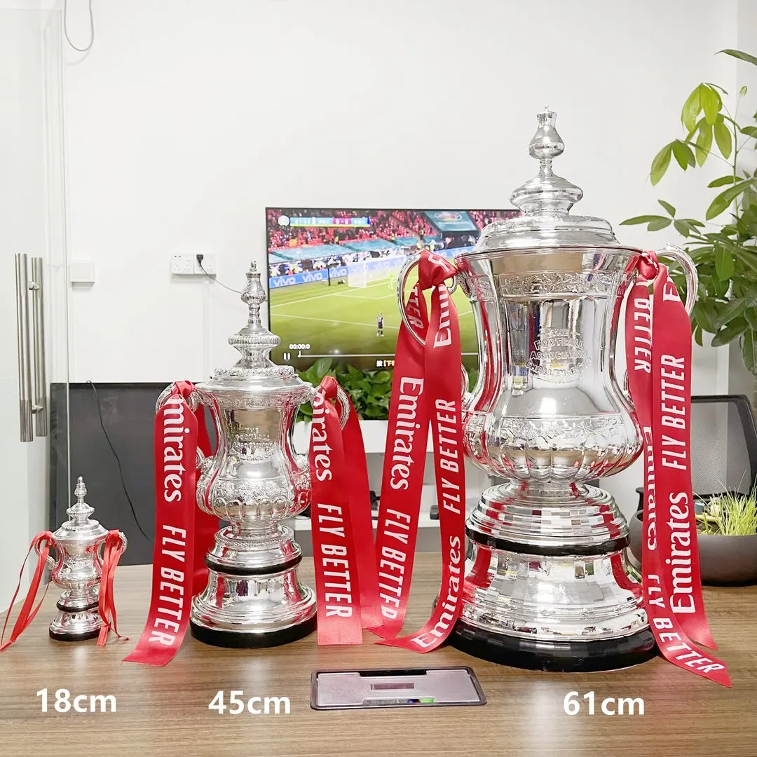 FA Cup Trophy-45cm | Спорт и развлечения