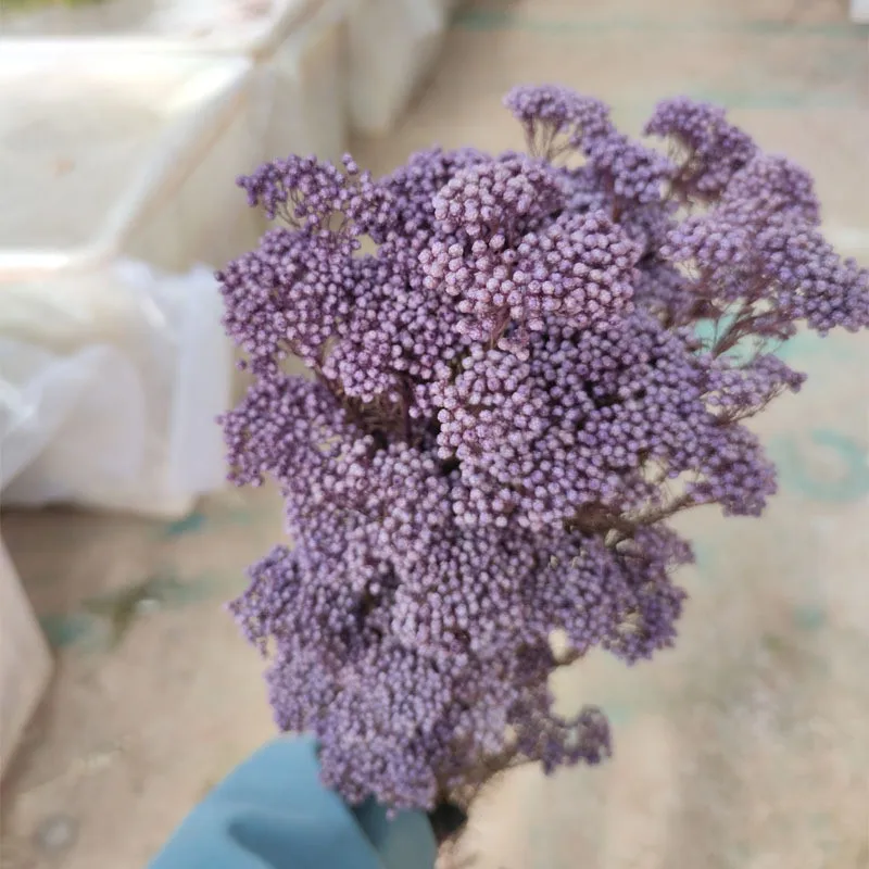 

50g Natural Millet Fruit Dried Flower Christmas Tree Ornaments 2022 Free Shipping Artificial Flowers For Wedding Decorations