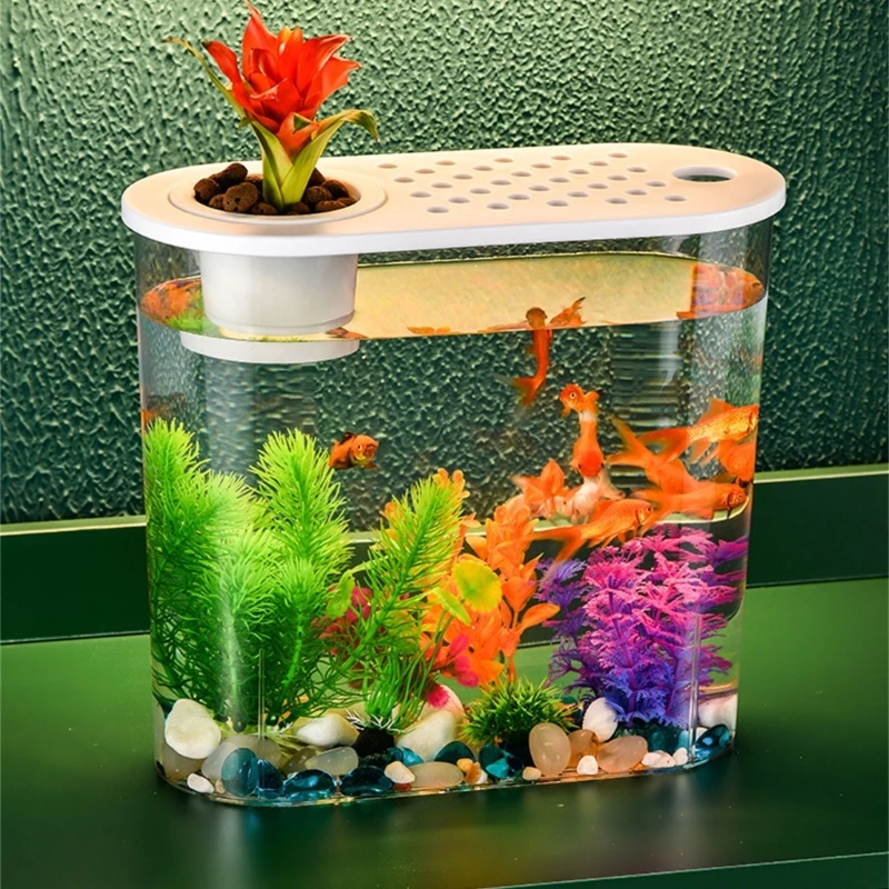 

Small Fish Bowl with Lid for Fish Planting Home Office Decoration for Obervation