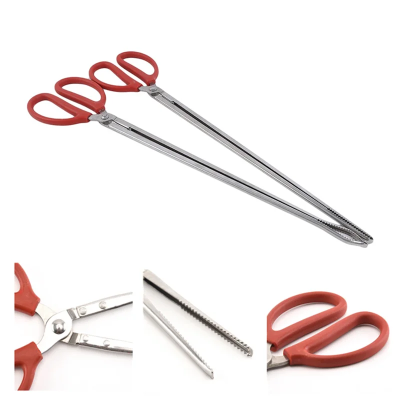 

Pincers Loach Eel Crab Trap Fish Traps Carbon Clip Pliers Rat Pliers Loach Clamps Snake Cricket Clamp Razor Clamp Chest Lobster