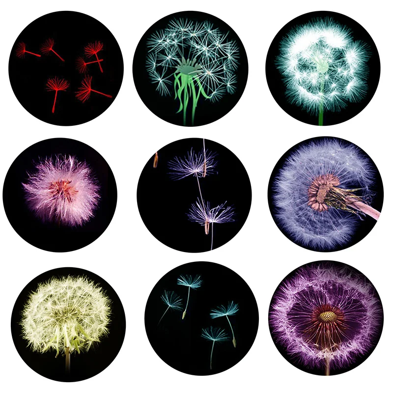 FLTMRH 6mm 14mm 16mm 18mm 30mm Dandelion Round Glass Cabochon Flatback Photo Base Tray Blank DIY Making Accessories