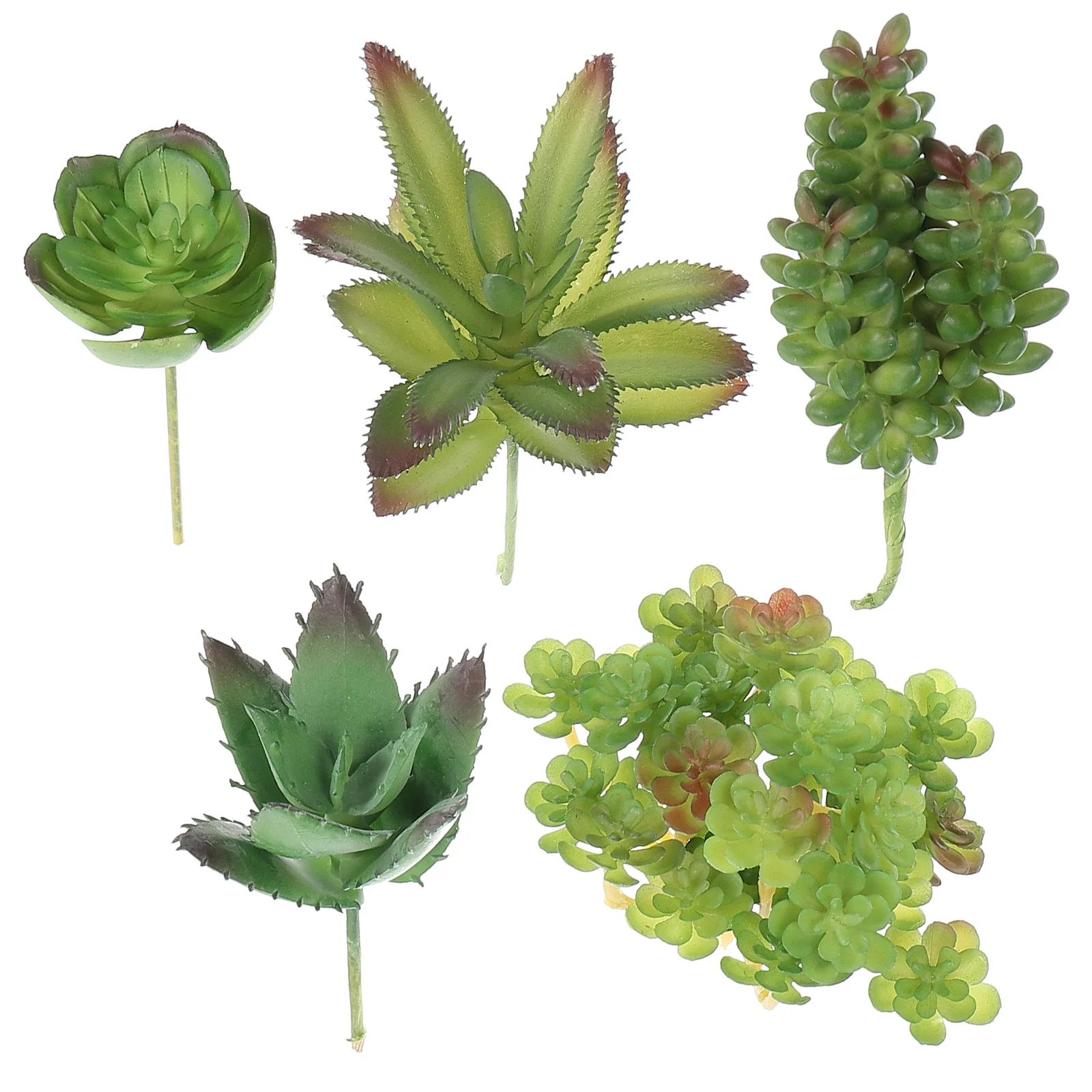 

1 Set Of Artificial Succulent Plants Plastic Unpotted Succulent Plants Fake Unpotted Succulent Artificial Succulents