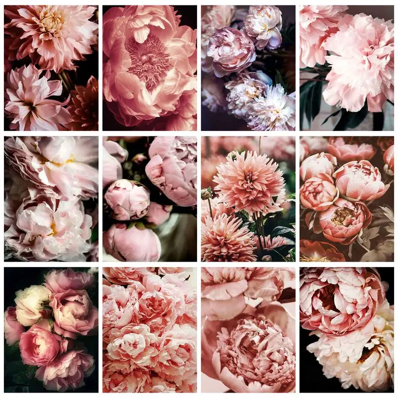 

CHENISTORY Oil Painting By Numbers On Canvas Pink Flowers Artwork For Adults Diy Gift Kill Time Picture Paint Home Decors