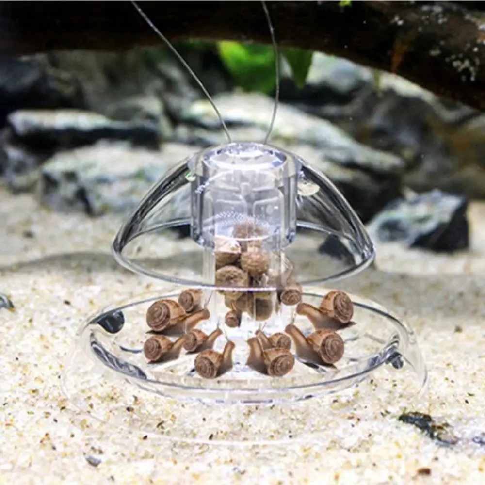 

Transparent Aquarium Fish Tank Plastic Clear Snail Trap Fish Tanks Vivarium Planarian Pest Catch Aquarium Cleaner Tool