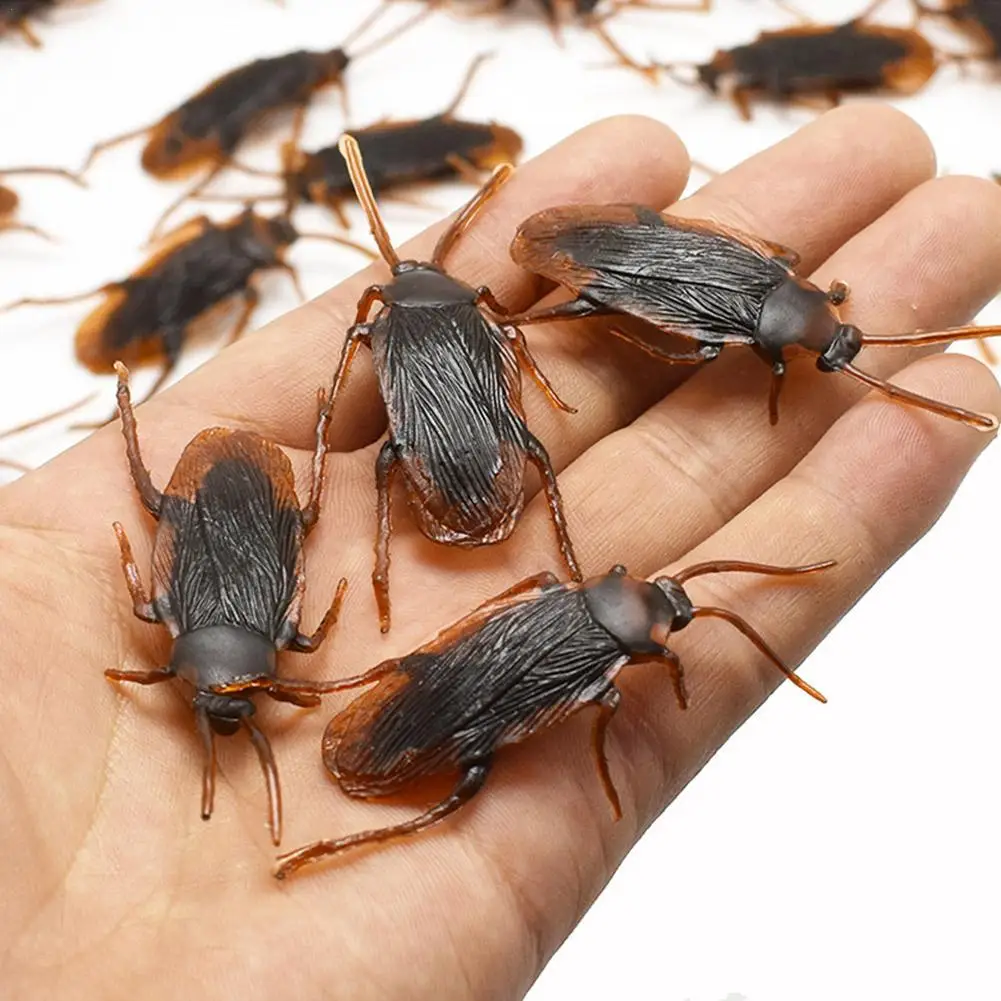 

1Pcs/ Special Lifelike Model Simulation Fake Rubber Cock Cockroach Roach Bug Roaches Toy Prank Funny Trick Joke Toys