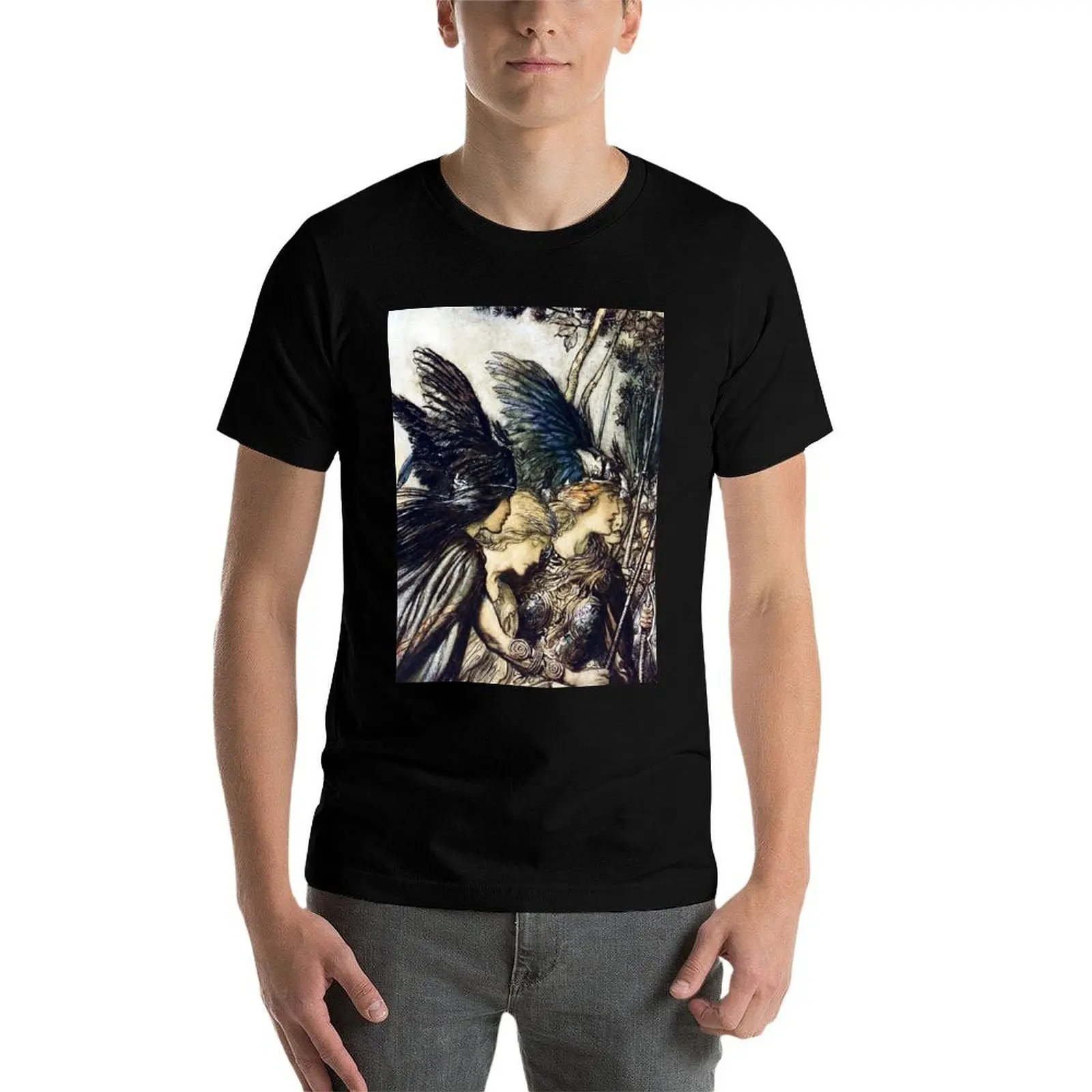 The Valkyries - Arthur Rackham Ring of the Nibelungen Футболка больших размеров с графическим рисунком