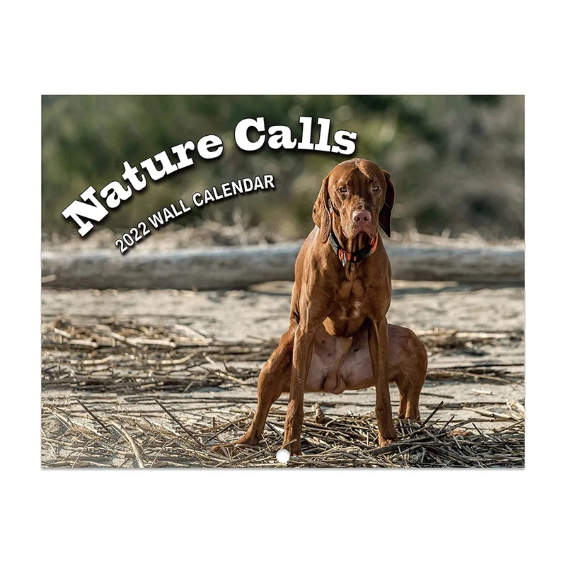 

2022 Calendar - Pooping Dogs Wall Calendar, Funny Calendar Gifts,Perfect 2022 Calendar For White Elephant Gifts Funny