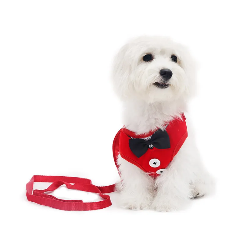 

Dog Harnesses Leads 2022 New Arrival Fashion Mesh Padded Adjustable Luxury Design Small Dog Accessories for Outdoor Travel