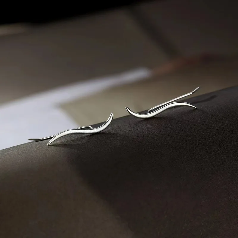 

S925 Fashion Simple Wave Earrings Female Retro Niche High-end Matte Line Earrings All-match Geometric Curve Earrings Tide