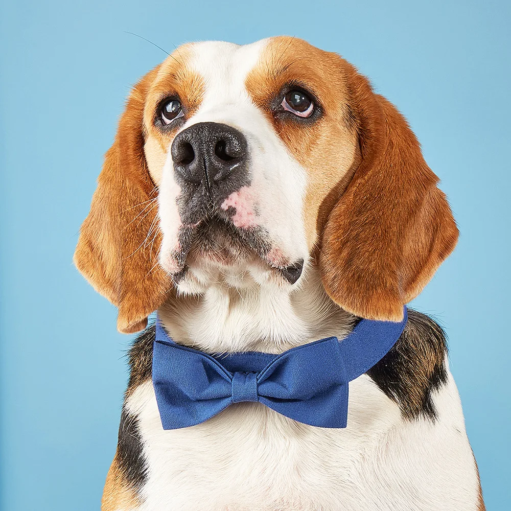 Регулируемый липучка для домашних животных формальный галстук смокинг