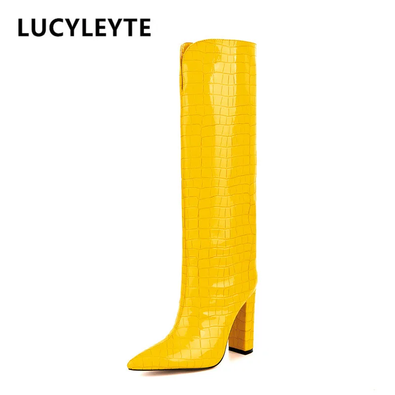 

Brand Women's Boots Autumn and Winter New European and American Coarse High Heel Stone Pattern Pointed Knee Length Sleeve Boots