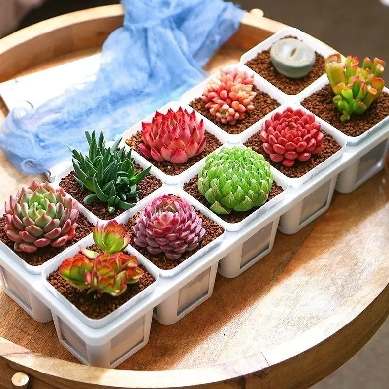 

Квадратный восьмиугольный держатель для хранения воды размером 7 см