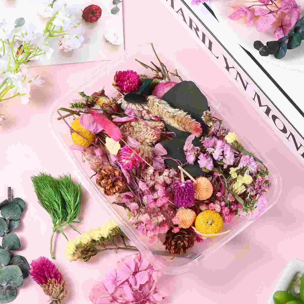 

Flowers Dried Flower Dry Pressed Nail Natural Mixeddiy Resinbath Multiple Making Real Jewelry Bookmark Necklace Accessories