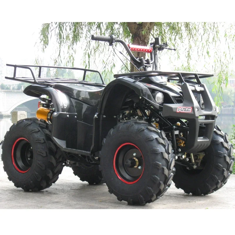 

Easy To Ride 125cc Four Wheelers Atv Quad for Adults
