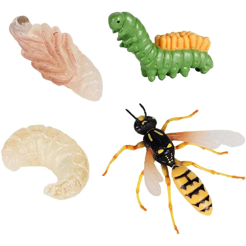 

1 Set Bee Animal Life Cycle Toys Animal Growth Cycle Biological Model Growth Lifelike Bee Life Cycle Model Set