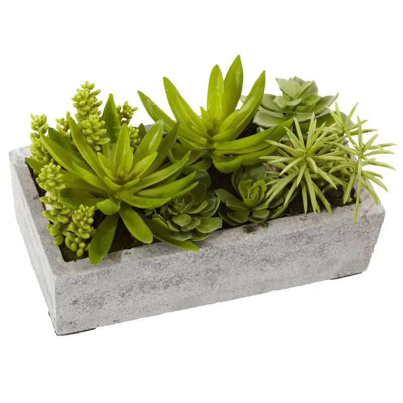 

Succulent Garden Artificial Plant with Concrete Planter, Green