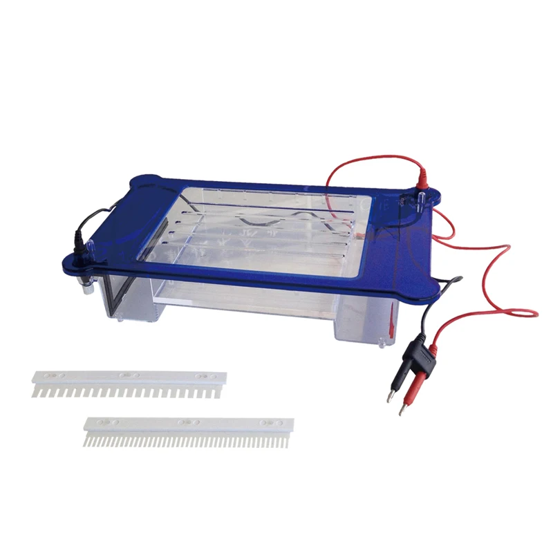 

Laboratory Electrophoresis Machine With Cell Electrophoresis Apparatus