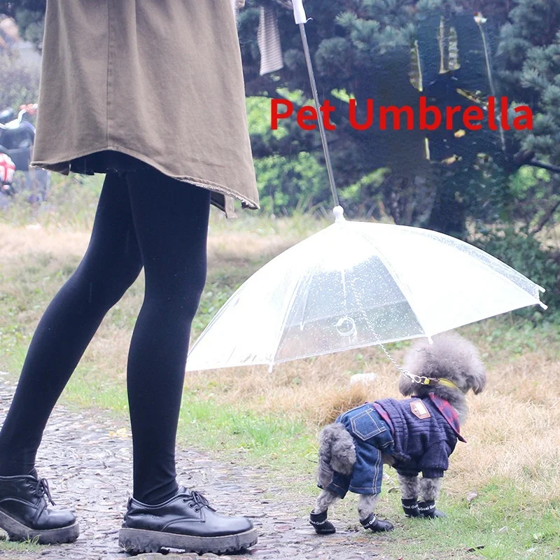 

Pet Umbrellas Hyena Artifact Teddy Bear Dog Pet Rain Gear Lovely Pet Supplies Waterproof Cat Dog Umbrella Sale