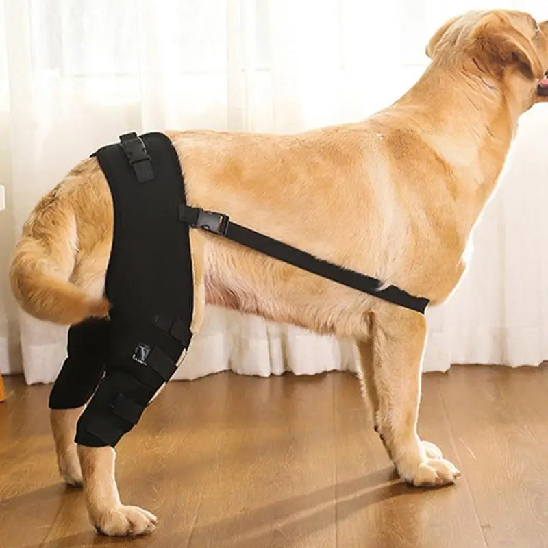 

Бандаж для предотвращения бедер аксессуары для суставов домашних животных и канинового связывания поддержки травм ног помощь собакам ранам защита колена реабилитация