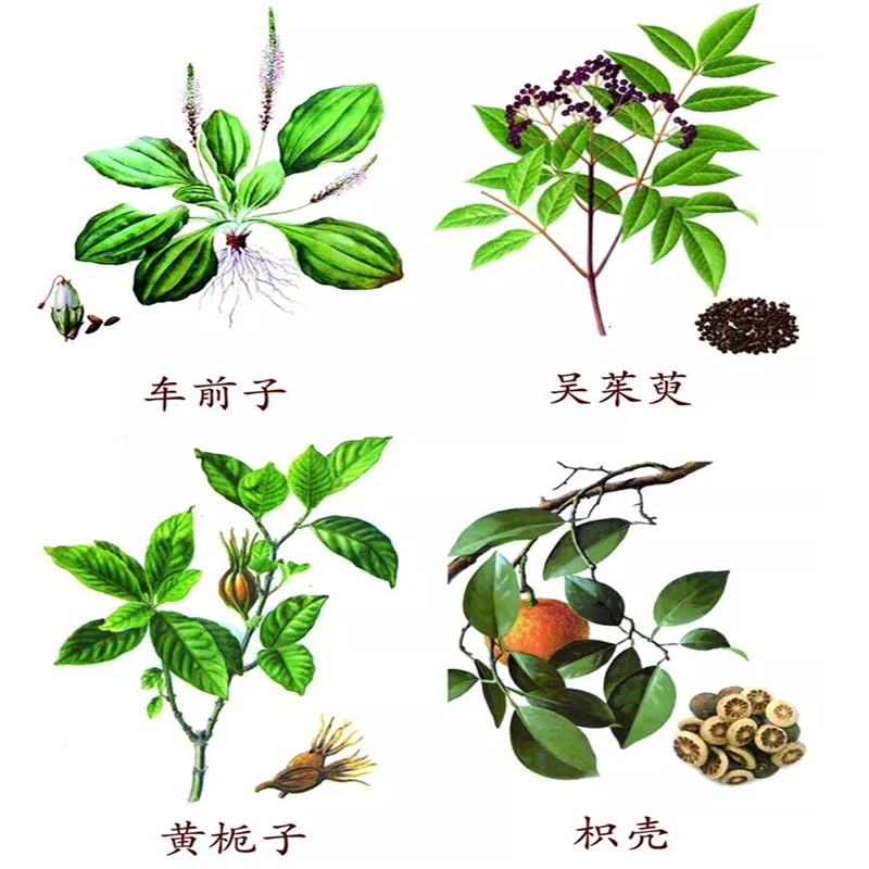 Чистый натуральный травяной бальзам для губ удаления черных устранение