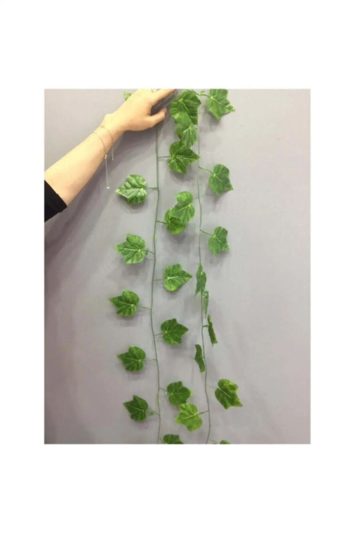 

Green Leaf Long Ivy 2.30 m