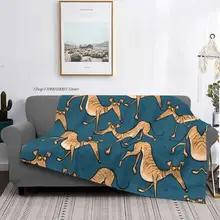 Brindle – couvertures tricotées multiples, couvre lit en laine, chaud et Ultra doux, avec fouet et couffin pour chiens, greyhund, Galgo Dog  (1)