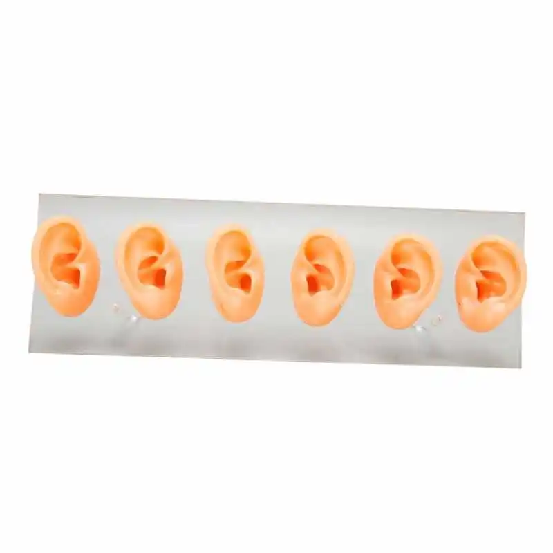 

Human Ear Model Silicone Ear Model Waterproof for Hearing Aid Centers for ENT Doctors for Headset Wearing Displays