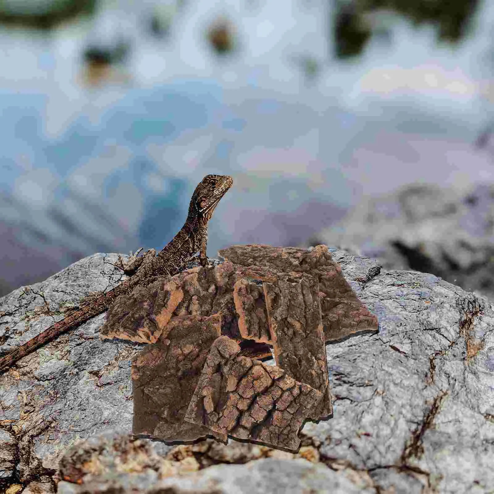 

10 Pcs Artificial Bark Lizard Climbing Reptile Terrariums Turtle Platforms Wood Landscape Decorations Fish Tank