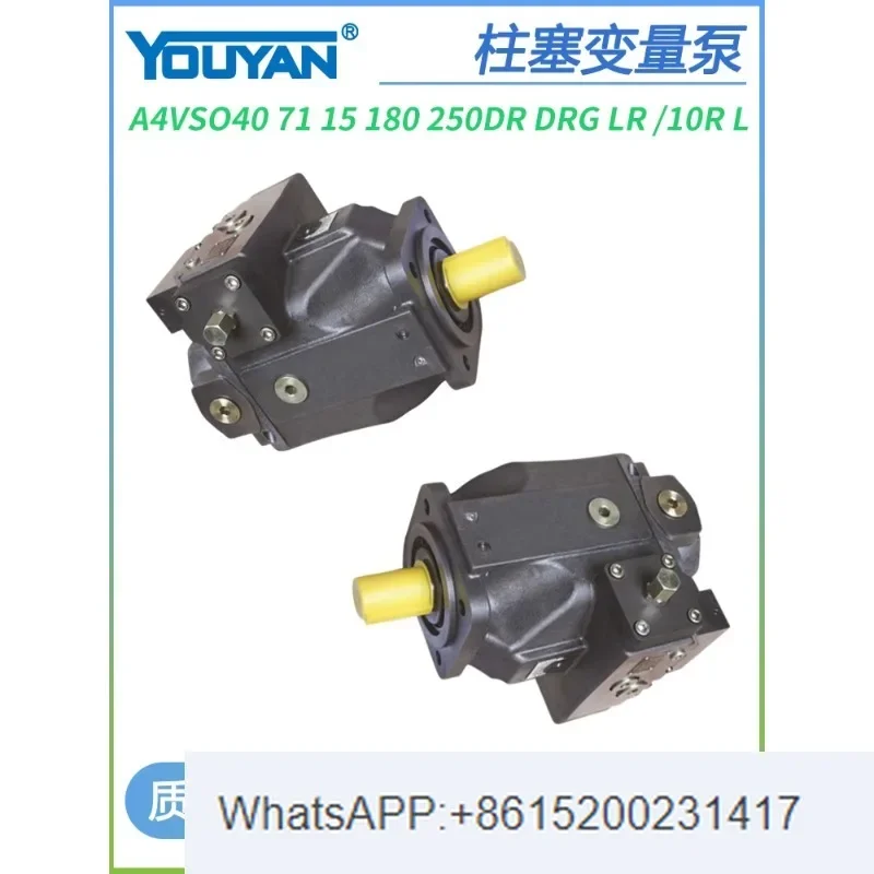 A4VS0 гидравлический A4VSO40 переменный A4VSO180 плунжерный насос A4VSO71/250/125DRG LR DR(1 шт.)