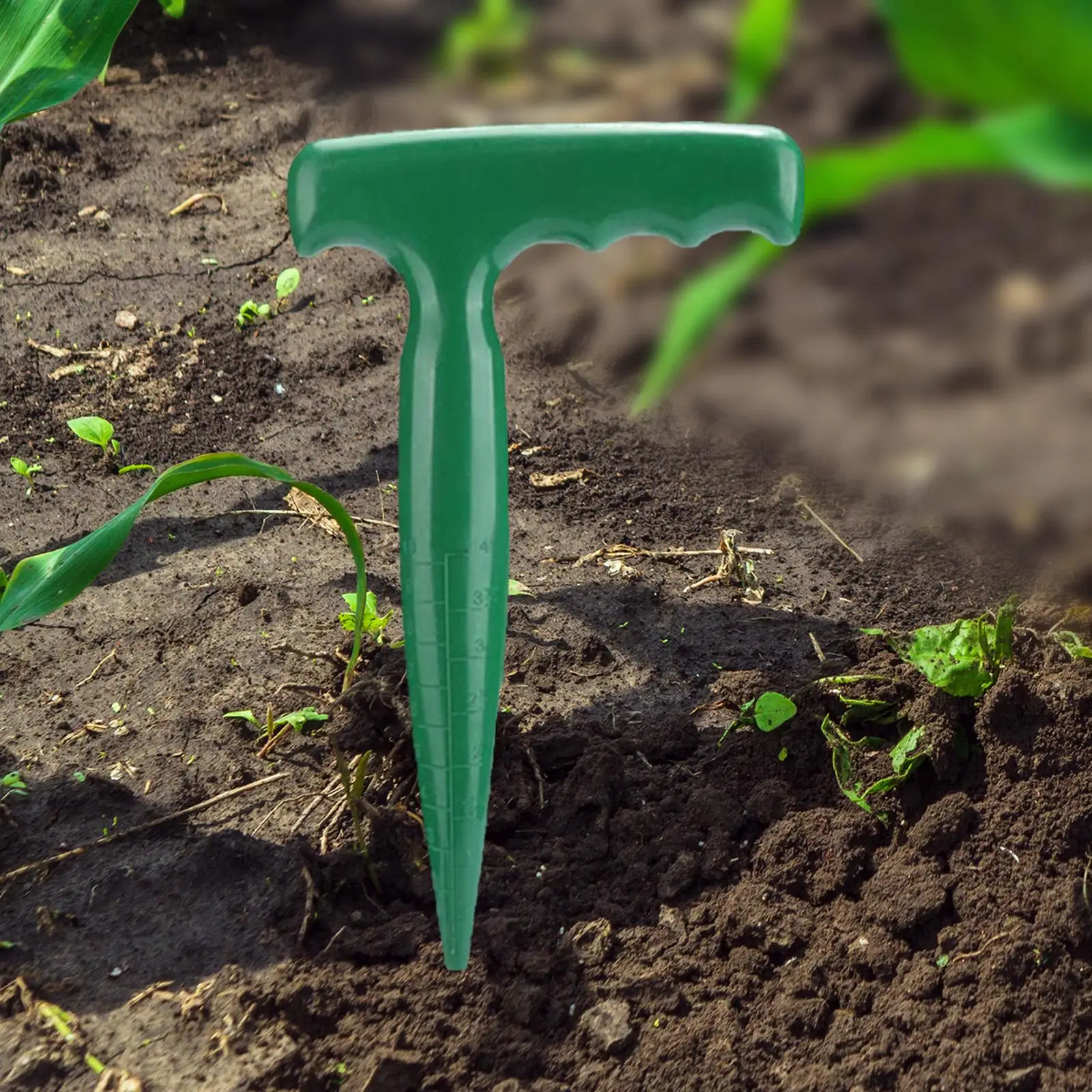 Dibber Sow Puncher PP Seeder for Patio Flowers Vegetable