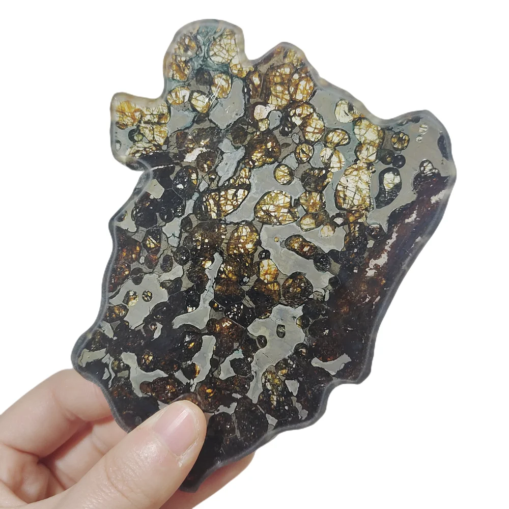 Высококачественный образец Brenham Olivine Meteorite ломтик оливкового метеорита и