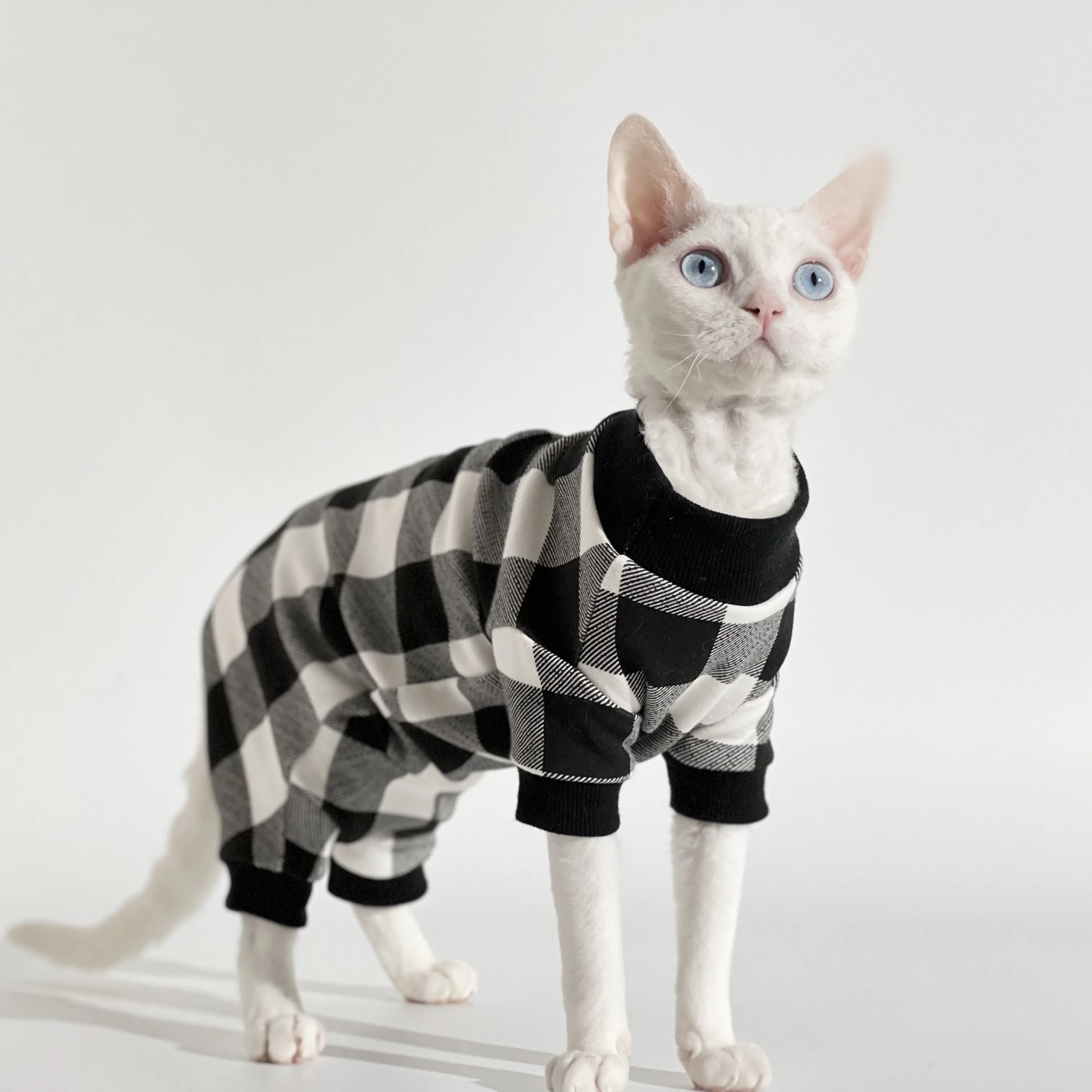 

Sphinx Hairless Cat Clothes Thickened Velvet Cotton Four-legged Belly Cover Pet Apparel Sphynx Devon Rex Cat Clothes for Kitten