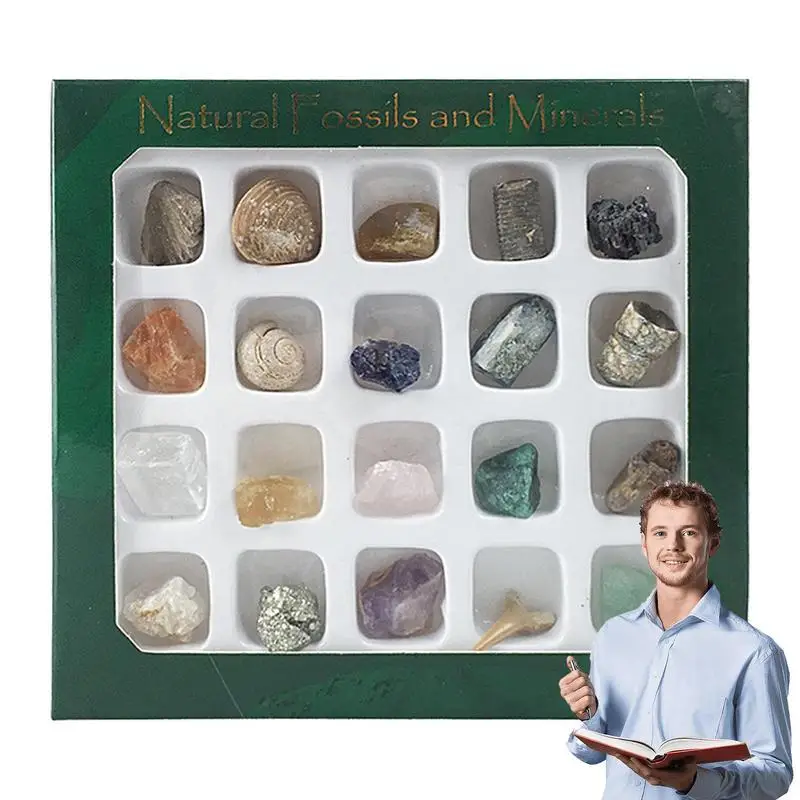 

Mineral Kit Rocks And Minerals 20 Pcs Mineral Specimen Geosciences Industries