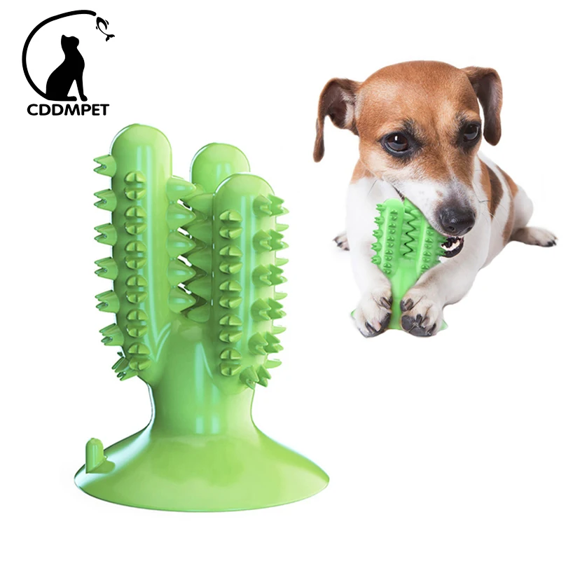 Dental Chew Toys for Dogs Healthy Fresh Puppy Teeth Cleaning Brush Cactus Large Breed Dog Molar Toothbrush Stick Pet Supplies