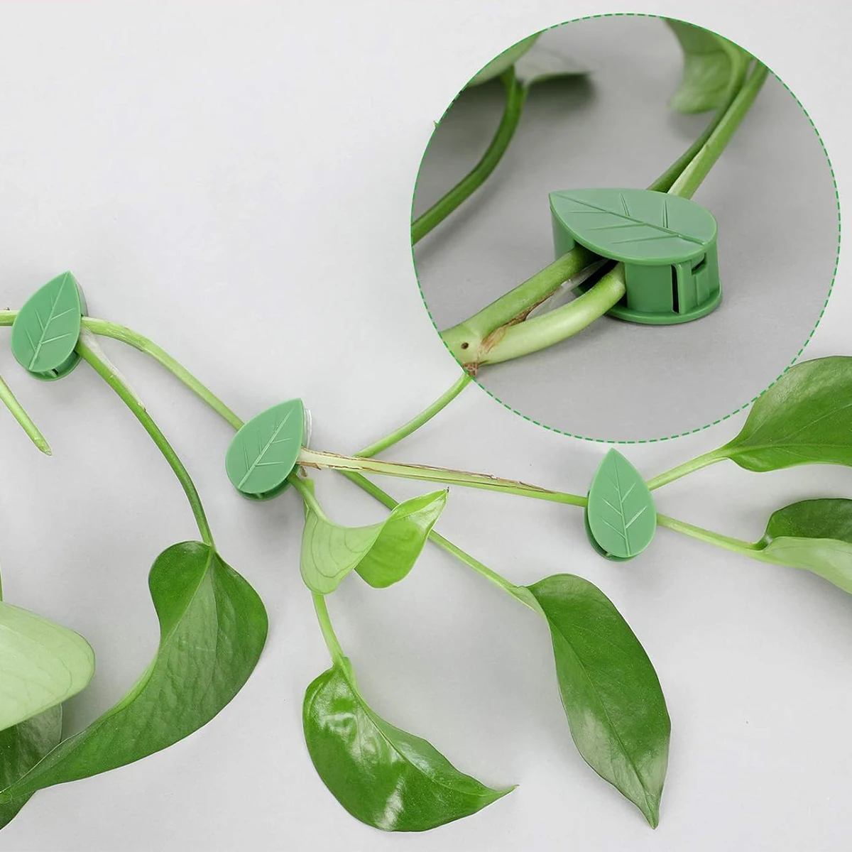 20/60 шт. невидимые настенные крепления для растений