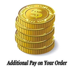 Special Category / Additional Pay on Your Order