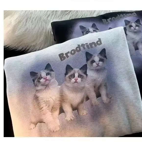 Рисунок 4 - Осенний свитшот с капюшоном в гонконгском