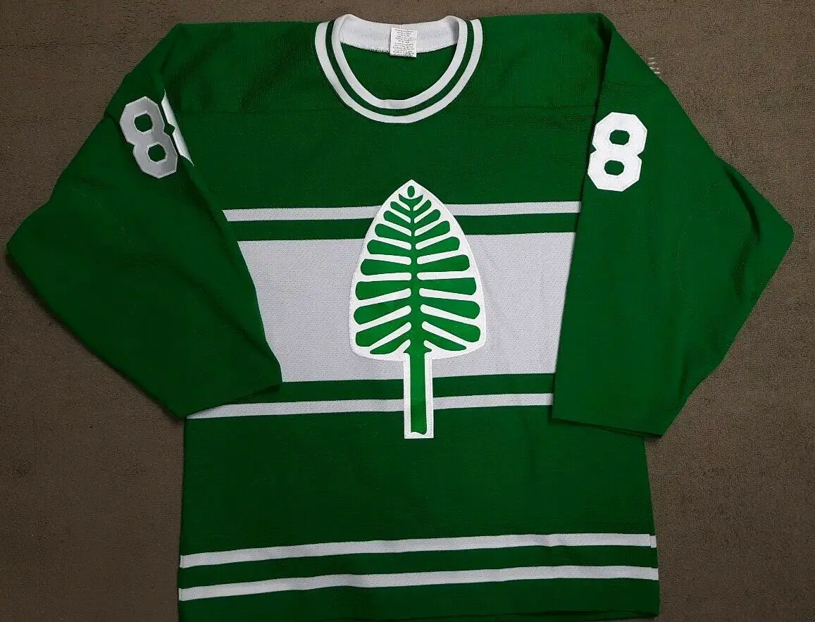 

Vintage Dartmouth College Hockey Jersey Big Green Pine Tree Embroidery Stitched Customize any number and name Jerseys