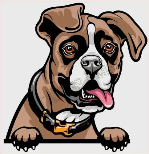 

For BOXER Peeking Dog Breed Colour Window Wall Laptop Mug Sticker w/proof