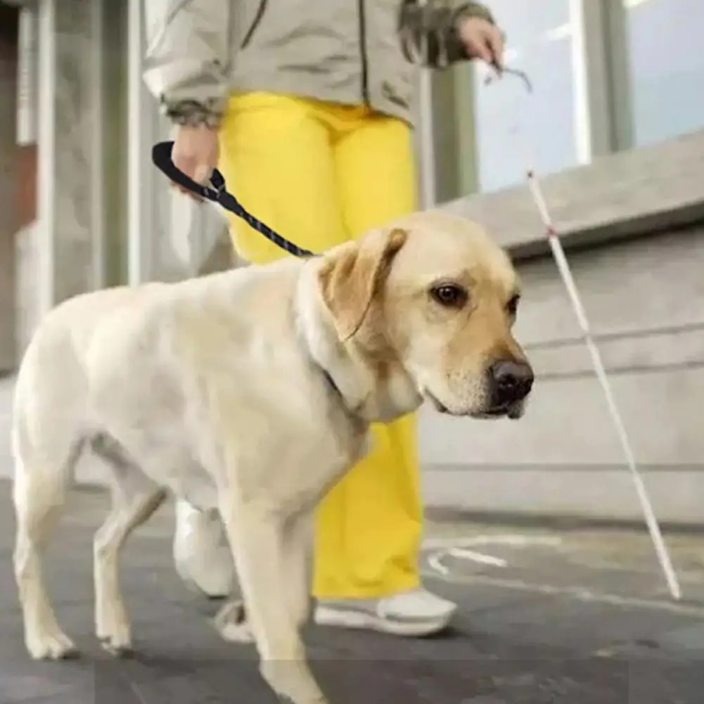 

NEW 60cm Pet Dog Walking Leash Highly Reflective Explosion-proof Nylon Leash With Soft Handle Pet Supplies