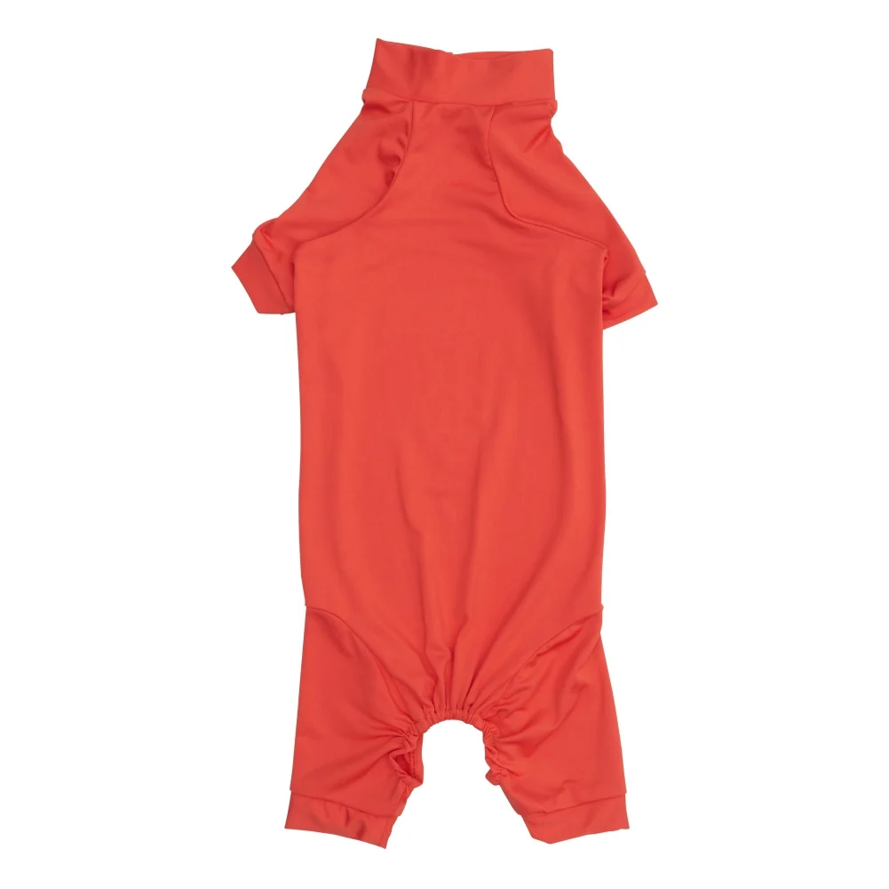 Пост-операционный костюм для восстановления реабилитации после хирургического вмешательства для домашних животных.