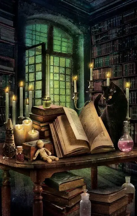 

seamless photo background fantasy room magic book black cat cartoon happy birthday photography backdrops quality vinyl