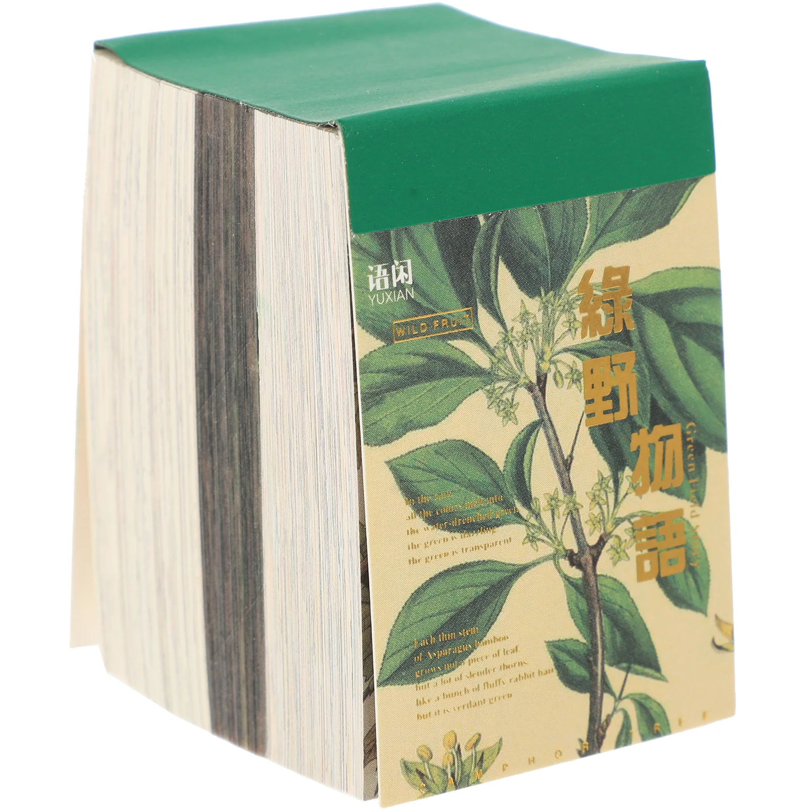 

Декоративные цветы, карманная основа из бумаги, «сделай сам», скрапбукинг, декоративный журнал, рукоделие, фон для журнала, материал для путешествий