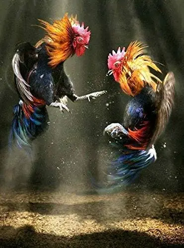 Забавный Metl Tn Sgn Two Roosters Fghtng Chcken rt Wll Plque Coop Decor Pnel Retro Vntge Murl For Cfe Br Pub Home B
