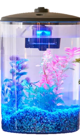 

3-Gallon Plastic Aquarium with LED Light and Power Filter