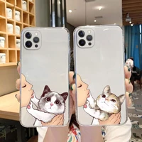 cute cat phone case for iphone 13 12 11 pro max x xr xs max 7 8 plus 12 13 mini se2020 soft tpu transparent back cover